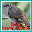 Kicau Kapas Tembak Zeichen