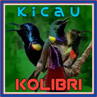 Kicau Kolibri Terlengkap آئیکن