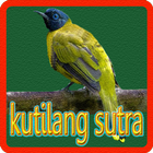 Kicau Kutilang Sutra 图标