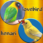 Lovebird Ngekek vs Kenari Gacor আইকন