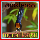 آیکون‌ Masteran Untuk Murai Batu