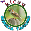 Mp3 Burung Gereja Tarung