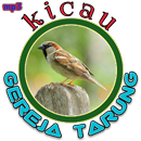 Mp3 Burung Gereja Tarung APK