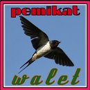 Pemikat Walet Panggil Inap APK