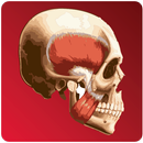 GIZA GORPUTZA APK