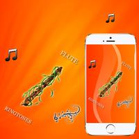 Flute Ringtones ảnh chụp màn hình 2