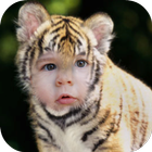 Tiger Photo Editor آئیکن