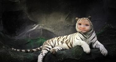 Tiger Photo Editor imagem de tela 1