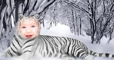 Tiger Photo Editor imagem de tela 3