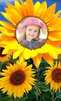 Sunflower Frames Photo Editor 截图 2