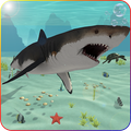 Hungry Shark Attack