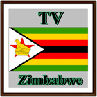 Zimbabwe TV Channel Info icône