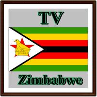 Zimbabwe TV Channel Info capture d'écran 2