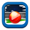 Cricket Videos Collection APK