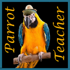 Parrot Teacher icône