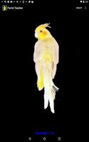 Parrot Teacher capture d'écran 1