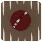 Tap Cricket ball Lite иконка