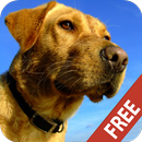 Dog Sounds Ringtones APK