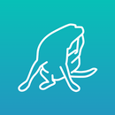 Itch Tracker APK