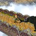 Tips for Temple Run 2