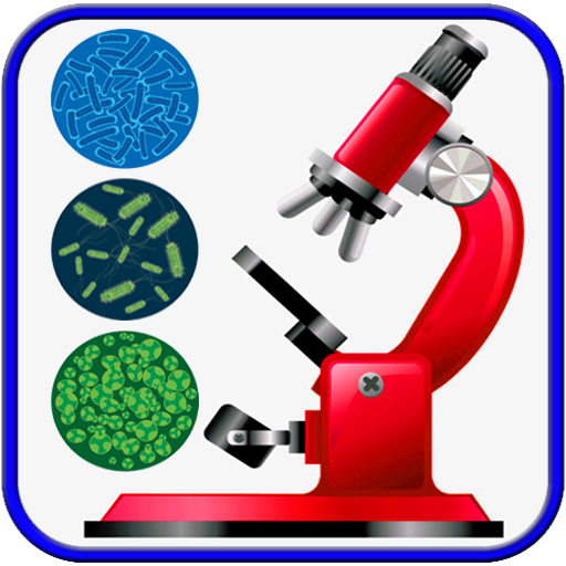 Digital Microscope Zoom Camera UHD