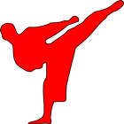 Taekwondo Training For Beginners icône