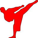 Taekwondo Training For Beginners-APK