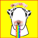 Snappy Photo Filters stickers APK