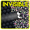 Invicible skins for slitherio