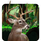 Forest Safari Hunting 3D biểu tượng