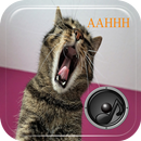 Screaming Sounds APK
