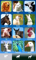 ZOOLA Animals - Free Poster