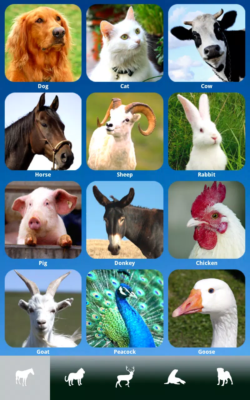ZOOLA Animals - FREE APK pour Android Télécharger