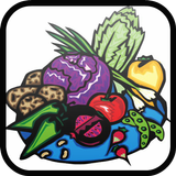 Fruit Match Splash Game icon