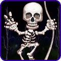 Skeleton Swing & Chain Rope