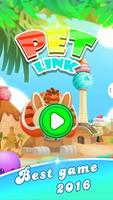 Pet Link 海報