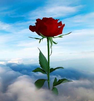 2019 أحلى باقة ورود الطبيعة For Android Apk Download