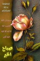 كلام صباح ومساء Cartaz