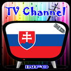 Info TV Channel Slovakia HD icône