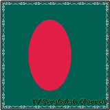 TV Bangladesh Channels Info icône