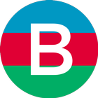 Bayraq icon