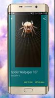 Fonds d'écran Spider स्क्रीनशॉट 2