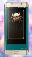 Spider Wallpapers ภาพหน้าจอ 3