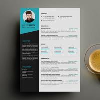 Resume Curriculum Vitae CV 截圖 3