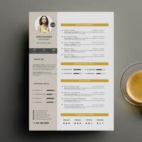 Resume Curriculum Vitae CV capture d'écran 1