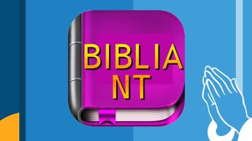Biblia Católica NT bài đăng