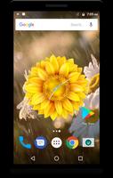 Sunflower Clock Live Wallpaper স্ক্রিনশট 1