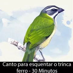 Descargar APK de Canto Esquenta Trinca Ferro