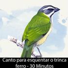 Canto Esquenta Trinca Ferro アイコン