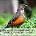 آیکون‌ Canto do Curió Praia Grande